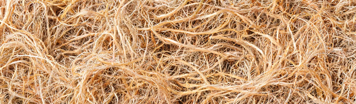 Fiber web texture used as an evidence-led background